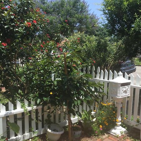 Appartamento 1118 Postoffice Street Galveston Esterno foto